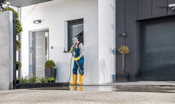 Best Driveway Pressure Washing  in Floral Park, NY